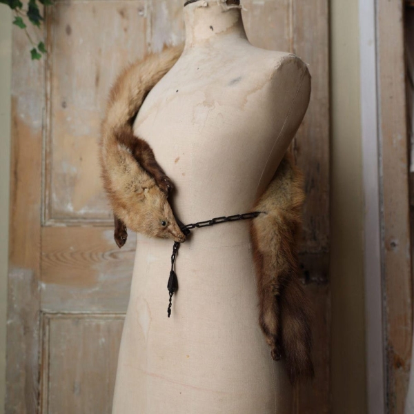 Vintage 1930s Stoat Fur Scarf – Elegant Fur Wrap